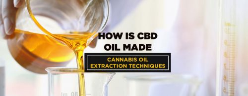 how cbd oil is made