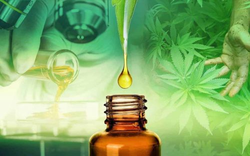 transforming hemp into CBD oil