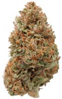 Hawaiian Haze CBD Strain Hawaiian Haze CBD Strain