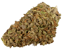 Sour Space Candy Strain Sour Space Candy Strain
