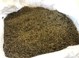 Suver Haze Biomass Suver Haze Biomass