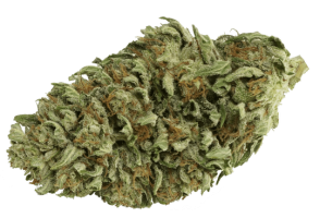 White CBG Strain White CBG Strain